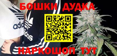 спиды Обь