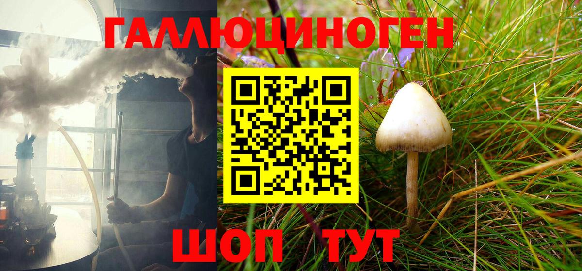 Советская Гавань  Галлюциногенные грибы Psilocybe  Вход с VPN 