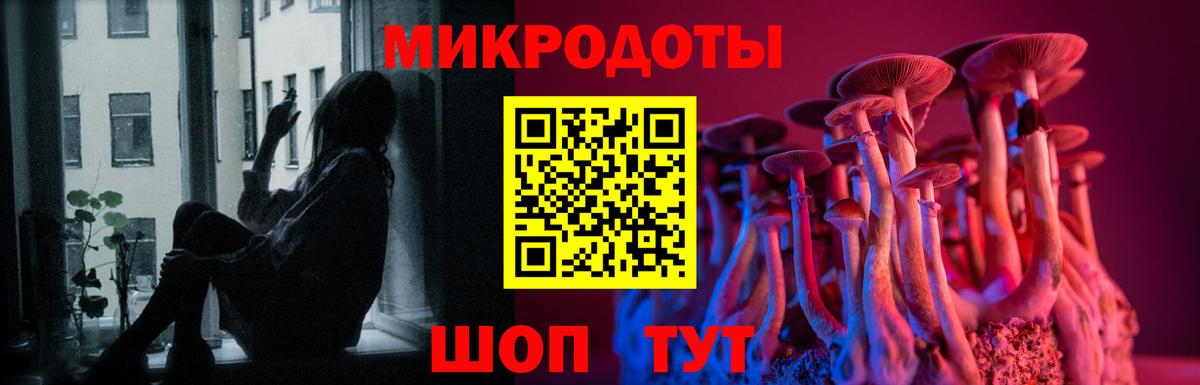 Псилоцибиновые грибы Psilocybe Советская Гавань